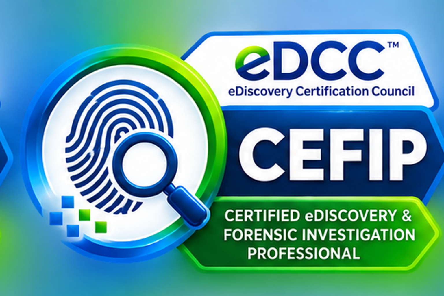 Electronic Discovery & Forensic Investigation Practitioner (CEFIP) logo